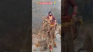 सब केला छीन लिए monkey family ने 🙏#trending #respect #helping #humanity #shortvideo #shortsviral #yt