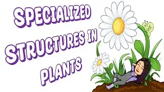 Specialized Structures in Plants | Modified Stems, Leaves, & Roots | Plants | Teacher Beth Class TV