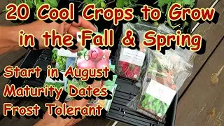 20 Cool Weather Fall/Spring Crops to Start in August & September: Growing Overview & Maturity Dates