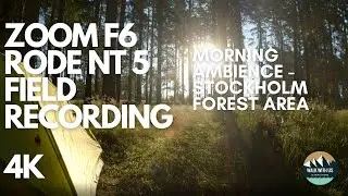 ZOOM F6 And RODE NT5 pair - Morning Ambience