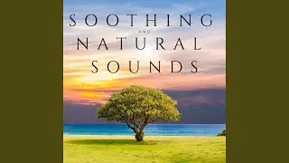 Soothing And Natural Sounds