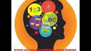 Neurobiology of Autism: Interventions that Work - webinar