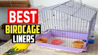 ✅Top 5 Best Birdcage Liners of 2025