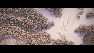 Those Who Ride With Giants - The Lure & The Passage of Wonder [Music Video]