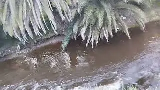 Increíble tormenta: cantidad de agua caída en minutos