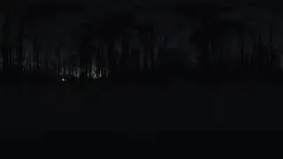 Dark forest sample