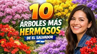 LOS 10 ARBOLES MAS HERMOSOS DE EL SALVADOR