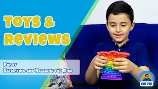Pop it Fidget Toys | Anas do Toys Review