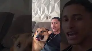 Grita  bolsonaro  pra safira  veja rea&ccedil;&atilde;o  dele #bolsonaro #bolsonaroagora #bolsonaropresidente #1k