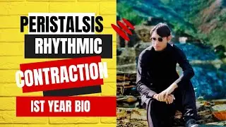 Peristalsis ( Rhythmic Contractions) Ist Year Bio Unit 11 lecture 4