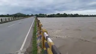 Ken river panna