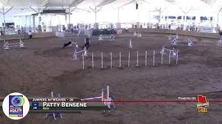 Bug 2024 AKC National Agility Championship - 1st Place!