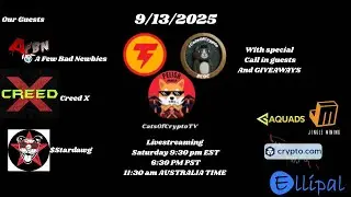 CatsOfCryptoTV Live with AFBN Creed X & Stardawgs sponsored by @JingleMining