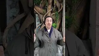 Viendo animales en VigoZoo. #animals #animal