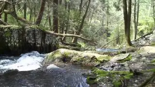 Tillman Ravine - Stokes State Forest - njHiking.com