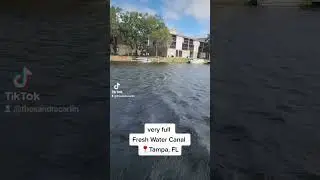 Fresh Water Canal in Tampa, FL day after Hurricane Ian. Check out the salt water canal video, crazy!