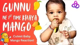 OMG! Gunnu Ka First Mango Taste 😍😂 | Super Cute Baby Reaction | Cutest Baby Mango Reaction