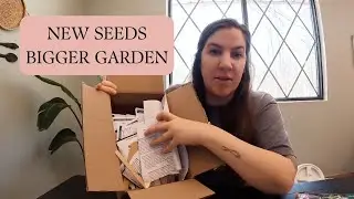 My Biggest Seed Haul Yet! Planning My 2025 Garden