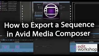 A Step-by-Step Guide to Exporting A Sequence in Avid Media Composer