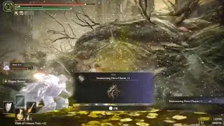 How to Get the Immunizing Horn Charm ~ Elden Ring Shadow of The Erdtree