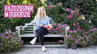 Co robię jesienią w ogrodzie plus podsumowanie poprzednich