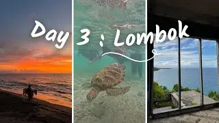 VLOG #10 - catching penyu, not feeling 🐢🧜🏼‍♂️