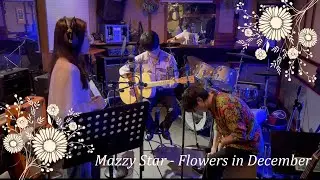 Mazzy Star - Flowers in December 【Trio cover】