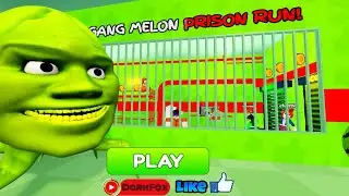 Yo! This is Kryon 😎I&rsquo;m playing &ldquo;Watermelon Head&rdquo; and beating it to the final 🍉🔥