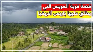 قصة قرية المريس، التي يُطلق عليها «باريس أفريقيا»، حيث يلتقي جمال الطبيعة بسحر الإنسان بصعيد مصر