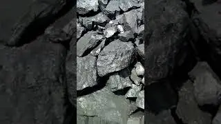 COAL SUPPLIERS IN NEPAL. 91 22 51 6555