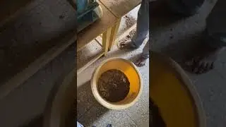 CHICKEN WASTE INTO BIOMASS POULTRY MANURE PELLETS FOR ENQUIRY SANJIVANI AGRO COIMBATOREPH-6381155603