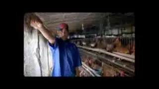 BRAC Bank 26th March TVC