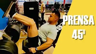 PRENSA DISCOS - LEG PRESS - FOCUS - SPORT TRAINING NORTE