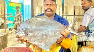 KASIMEDU SPEEDSELVAM BIG SIZE BLACK POMFRET FISH CUTTING VIDEO #kasimeduselvam #fishcutting 