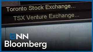 'We think that this year we're going to get strong returns in the S&P 500': Lee