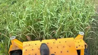 Cub Cadet Zero Turn Mowing Tall Grass