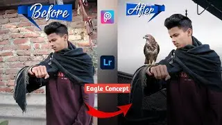 Picsart realistic eagle photo editing | eagle photo editing step by step | new photo editing picsart