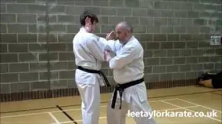 Ananko Bunkai Drill Part 1