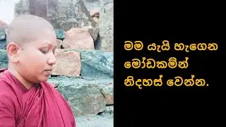 මම ලෙස දැනෙන මෝඩකම  #නිවන් දකින්න  අවශ්‍යම  නම්.. 