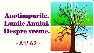 Anotimpurile. Lunile anului. Cum este vremea? A1/A2