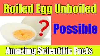Is It Possible to Unboil an Egg?|Top Most Amazing Scientific Facts| Enigmatic Facts|ScientificFacts