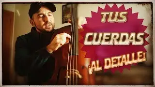 🎻 CUERDAS DE VIOLONCHELO | conoce tu instrumento - 2ªparte