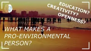 What Makes a Pro-environmental Person?