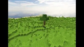 The Tree Of Hope