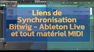 Ableton Link SYNCHRO entre BITWIG et ABLETON LIVE #tutorial #demo #bitwig #ableton #bass #ibanez