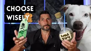 Poison Dog Food - Every Reason to Switch Your Dog to Carnivore