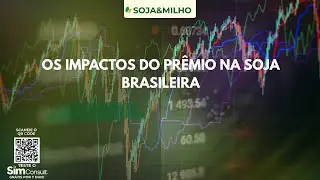 SOJA & MILHO - Os impactos do pr&ecirc;mio na soja brasileira