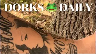 FROG RESCUE! 25K A NIGHT CRUISE?!! ROYAL&rsquo;S NON- SMOKING CASINO * SUITE SADNESS & HAUNTED STATEROOM 👻
