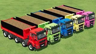 TRANSPORTING AND LOAD POTATOES WITH MAN 18500 KIPPER TRUCKS | Farming Simulator 22