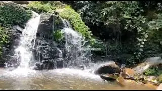 #darjeeling_tour #rockgardens #দার্জিলিং_রকগার্ডেন #viral #waterfall ঝর্ণা